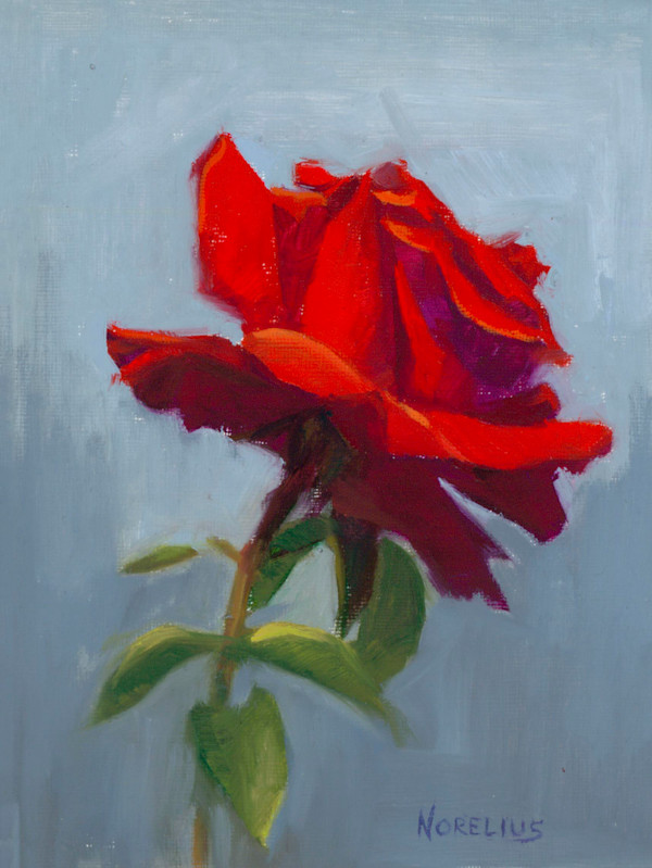 Luminous Flame, Red Rose on Gray- Blue by Erica Norelius