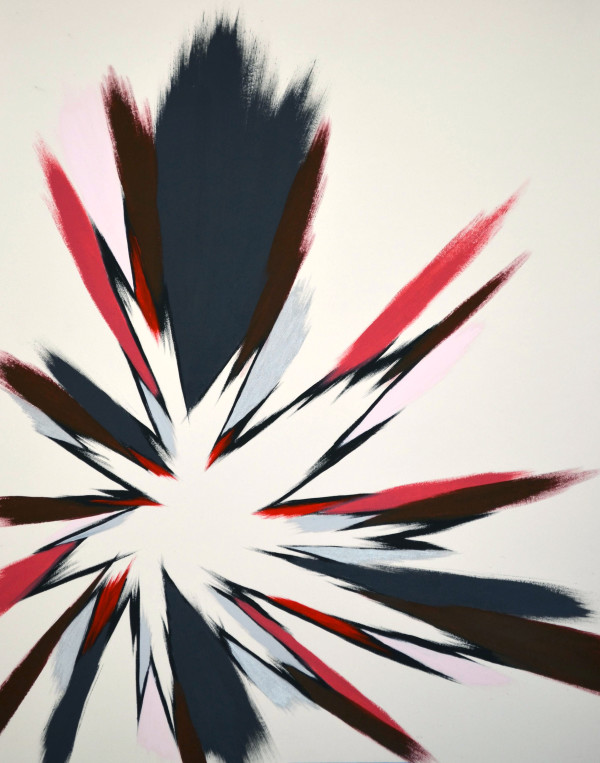 NWC Color Star by Lee Clarke