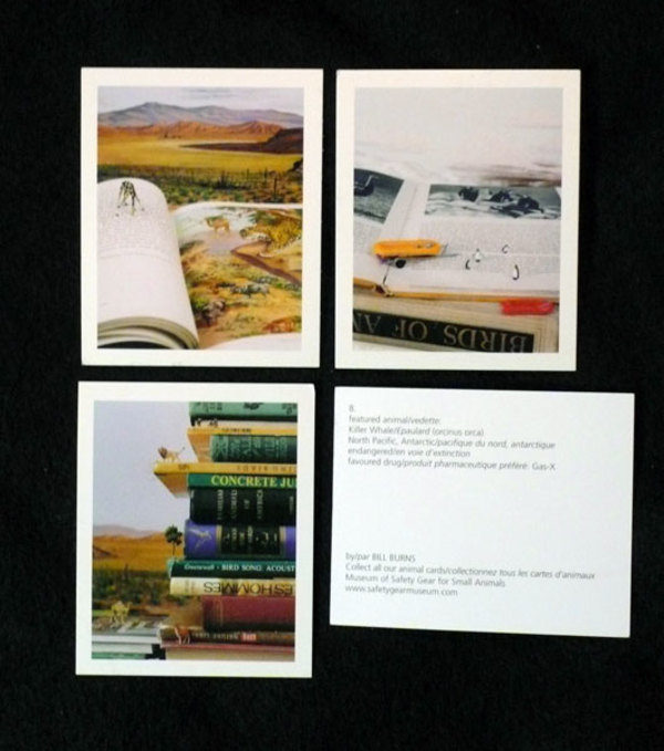 Animal Cards by Bill Burns