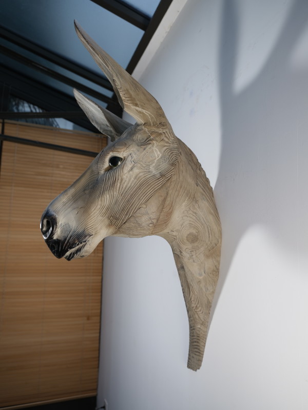 Donkey by Quentin Garel