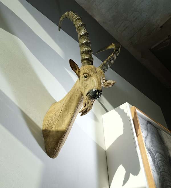 Bouquetin (Ibex) by Quentin Garel