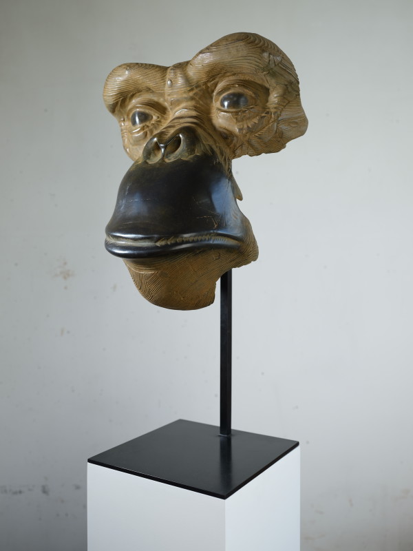 Chimpanzé III (Chimp) by Quentin Garel