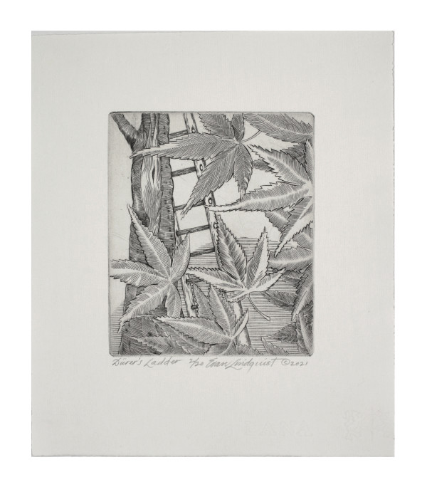 Dürer’s Ladder, 2/20