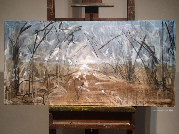 Looking out Willow Road, St Francis - Little River Floodway The Sunken Lands, Poinsett County, Arkansas