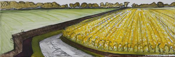 View from the Dump – Green Fields / Yellow Rows, St. Francis-Little River Floodway / The Sunken Lands, Poinsett County, Arkansas, painted on location