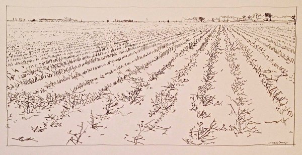 Crop Stubble Drawing (with Barn and Pivot) by Norwood Creech