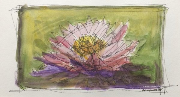 Water Lily by Norwood Creech