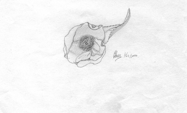 Emergence by Elizabeth Watson, Image 1.