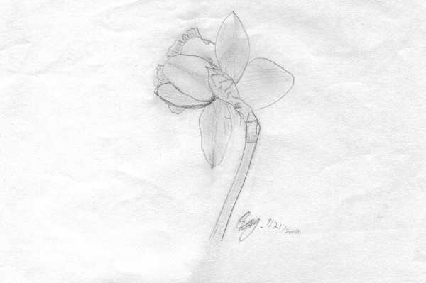 Turning Toward Light by Elizabeth Watson, Image 1.