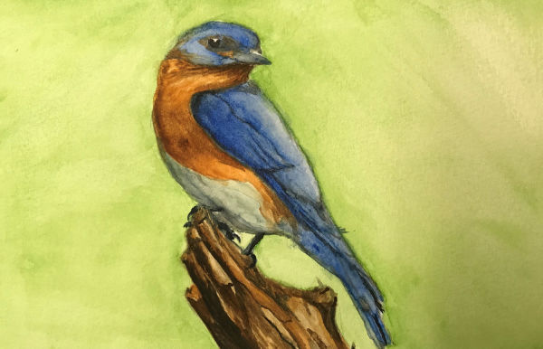 Grandma's Bluebird
