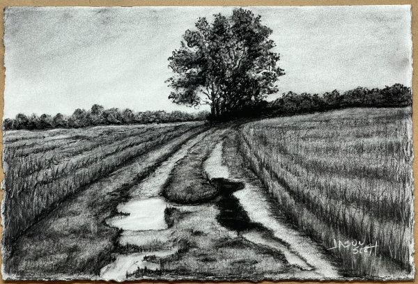 Old Trails - Charcoal by Jason Scott - ART