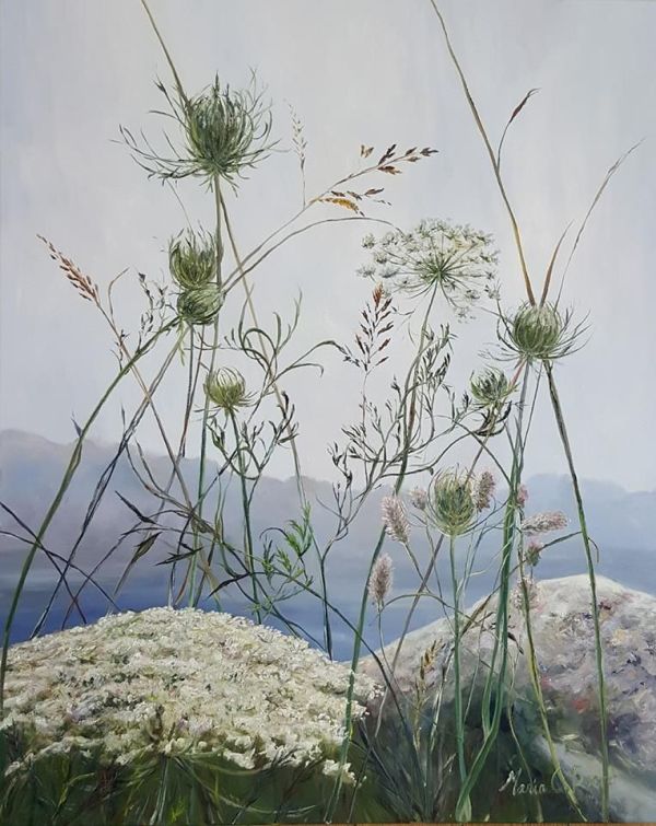 Queen Anne's Lace by the Footbridge by Maria Boord