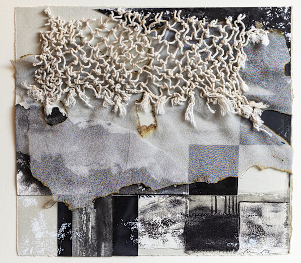 The Mycorhizzal Network, The Wood Wide Web Series by Susan Stair