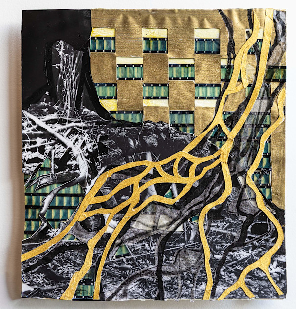 Gravitropism, The Tropism or Hormone Series, Tree Investigations by Susan Stair, Image 2.