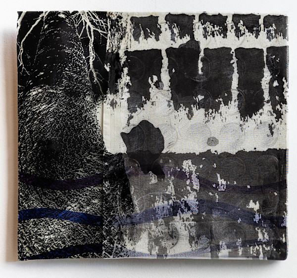 Sonartropism or Infrasound, Tree Investigations by Susan Stair, Image 2.
