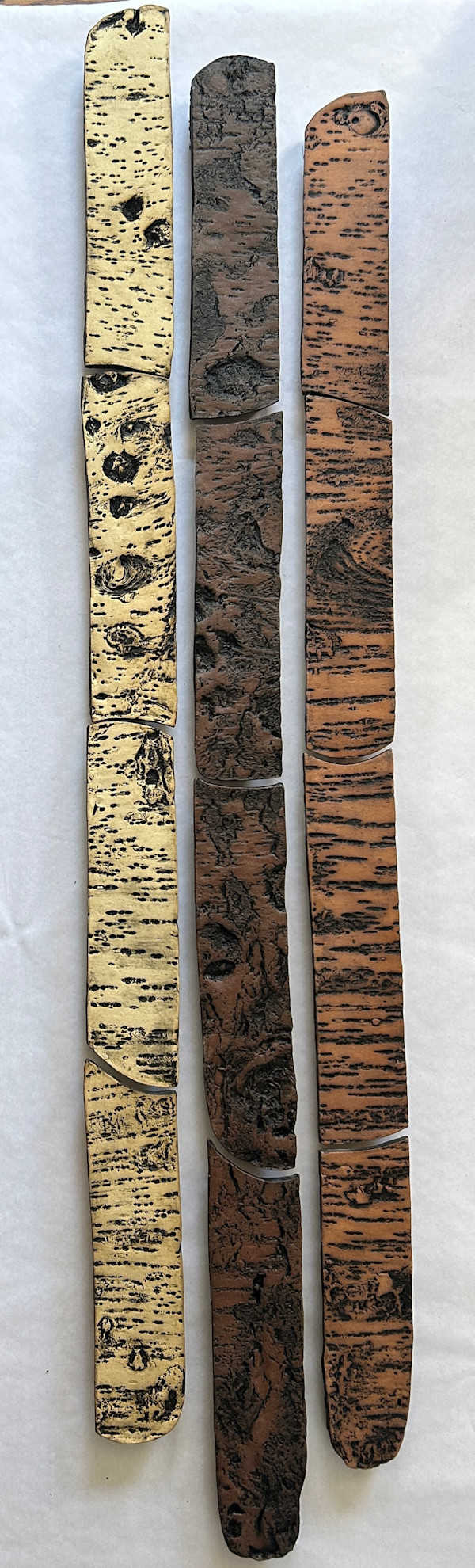 Aging Yoshino CherryTrees ,  (60"x 4"x 2"),  Old Akebono Cherry, (64"x 4"x 2"), Young Yoshino Cherry, (59"x 4"x 3"),  Wooster Trees by Susan Stair, Image 6.