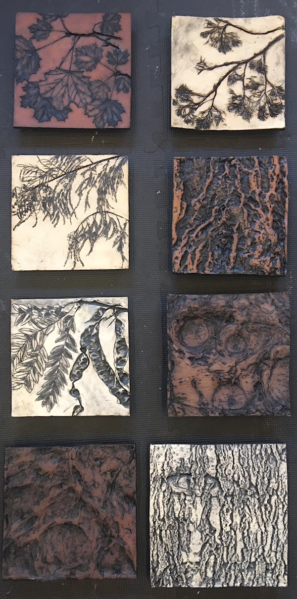 Collection Clay Bark Portraits, Trees as Tonic by Susan Stair