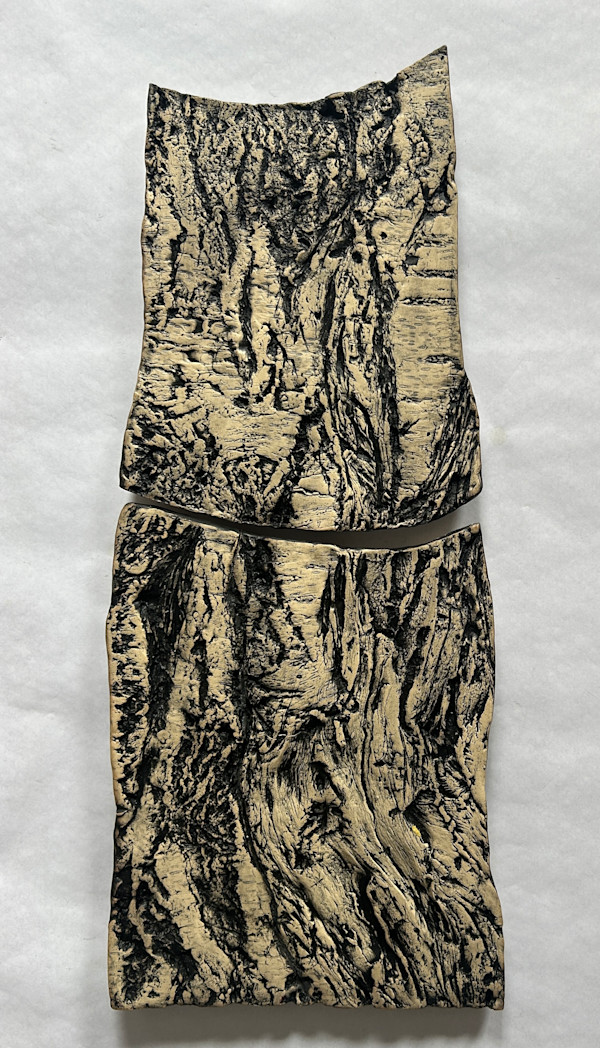 Cherry Stump, Wooster Trees by Susan Stair, Image 1.