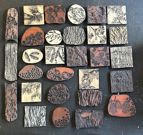 Tonic Bark, Leaves and Fruit, Trees as Tonic by Susan Stair
