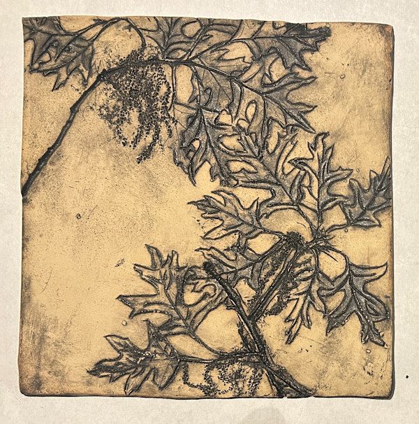 Pin Oak , Trees as Tonic Tiles by Susan Stair