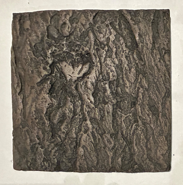 Yoshino Cherry  Bark, Trees as Tonic Tiles by Susan Stair