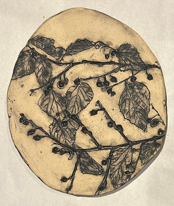 Hackberry , Trees as Tonic by Susan Stair
