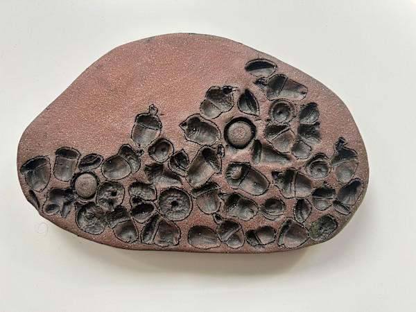 Acorns,  Trees as Tonic by Susan Stair