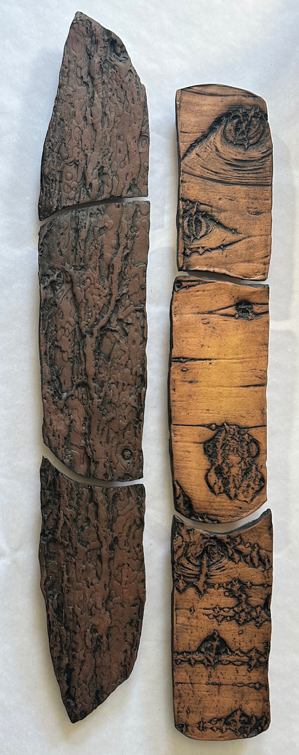 Old Scotch Pine and Aspen by Susan Stair, Image 2.