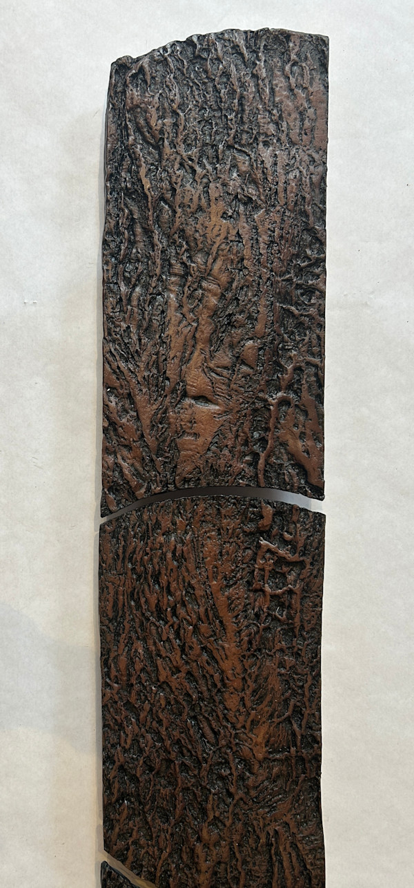 Red Oak Tree by Susan Stair, Image 1.