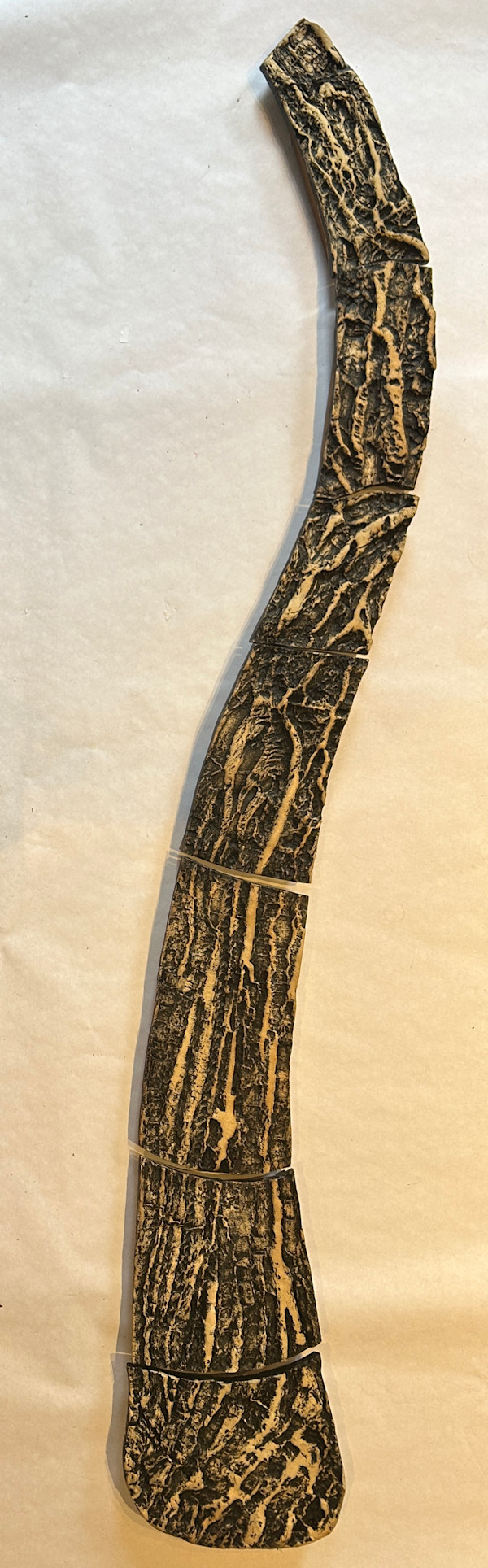 Poplar Tree, Trees by Susan Stair, Image 1.