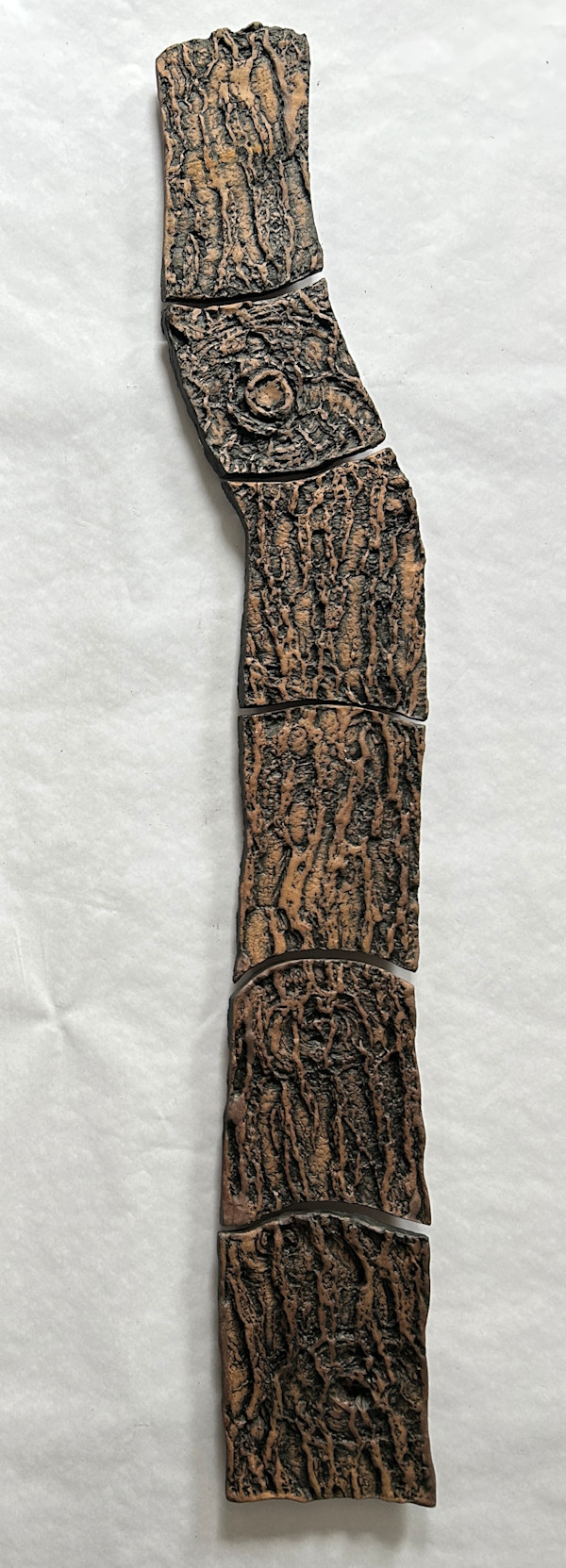 Eastern White Pine, Trees by Susan Stair, Image 1.