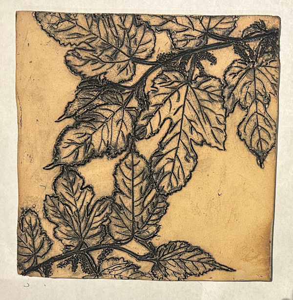 Mulberry Leaves , Trees as Tonic by Susan Stair