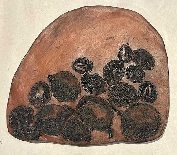 Walnuts,  Trees as Tonic by Susan Stair