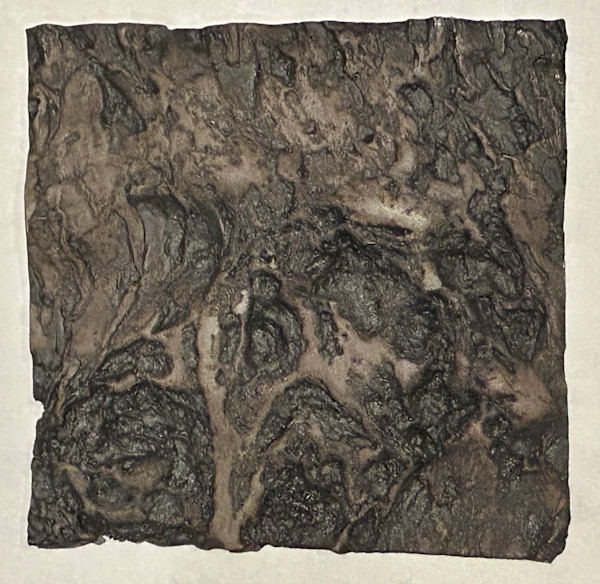 Old Apple Tree, Trees as Tonic by Susan Stair