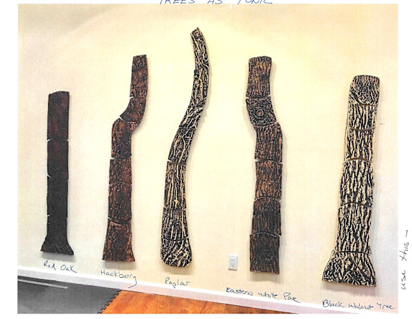Trees as Tonic, Trees by Susan Stair, Image 7.