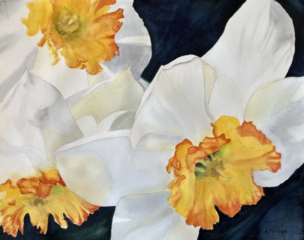 Daffodils by Anita Matcha