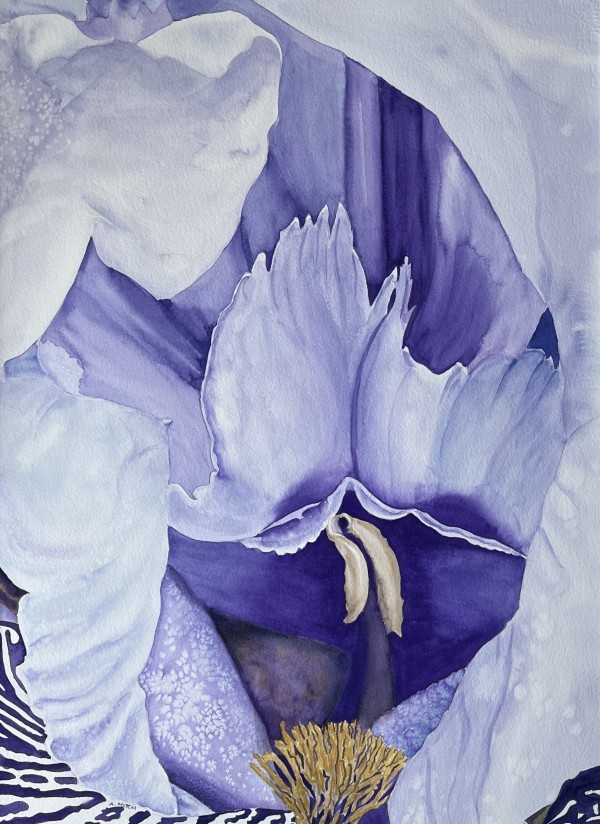 Intimate Iris by Anita Matcha