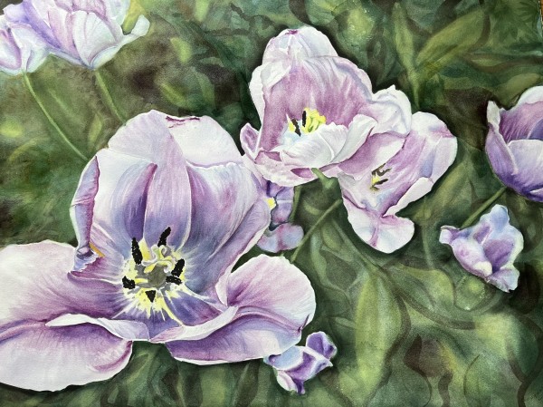 Obdurate Tulips by Anita Matcha