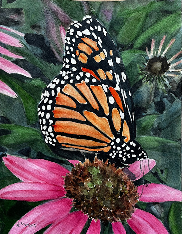 Monarch by Anita Matcha, Image 1.
