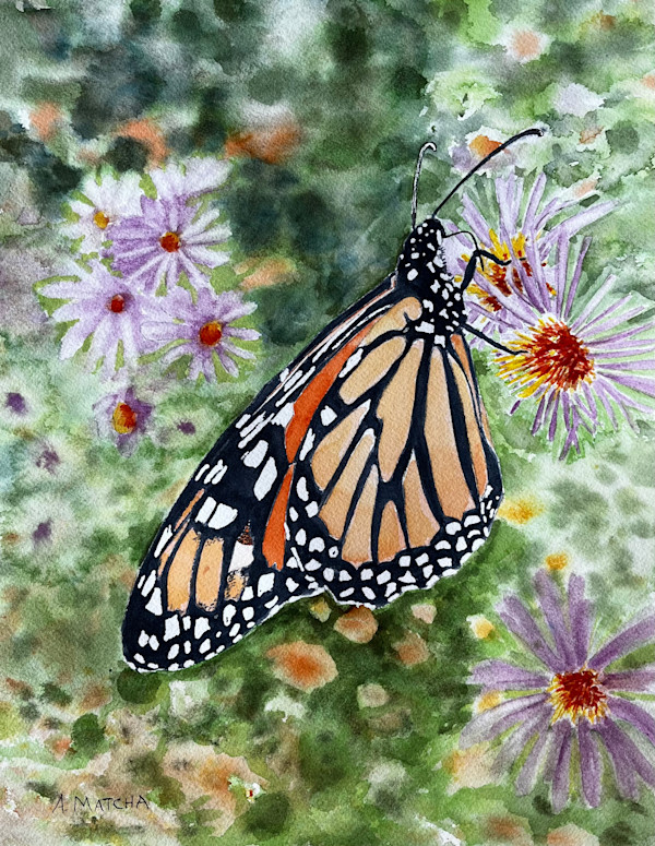 Hellenbrand’s Prairie by Anita Matcha, Image 1.