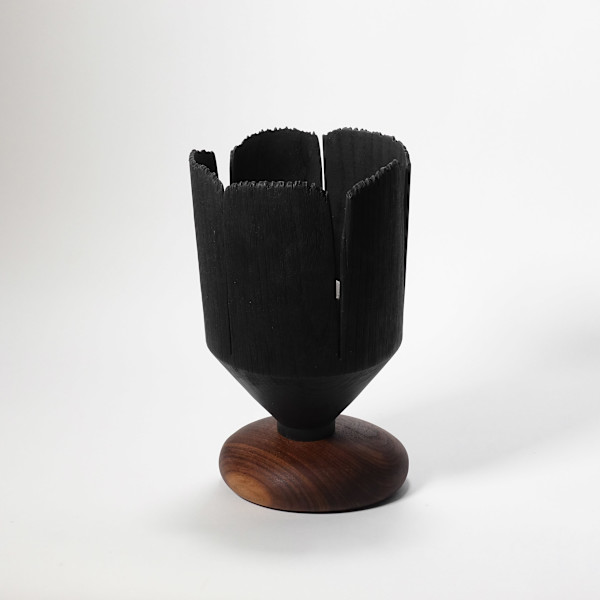 Blooming through adversity II by Andreas Krätschmer