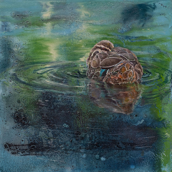 Floating Duck by Kirsten Hocking