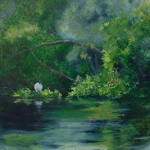 Ibis Wilderness by Kirsten Hocking