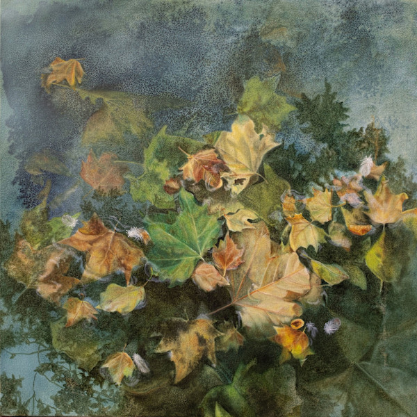 Gaze Gently on the Fallen by Kirsten Hocking