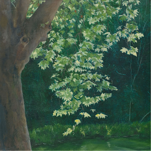 Sunlit Leaf Curtain by Kirsten Hocking