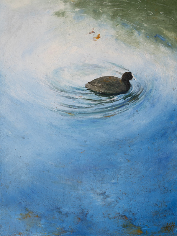 Swimming Coot by Kirsten Hocking