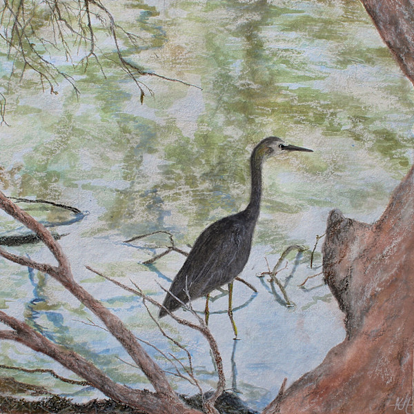 White Faced Heron by the Lakeside III by Kirsten Hocking