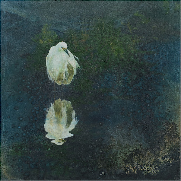 White Heron Reflection by Kirsten Hocking