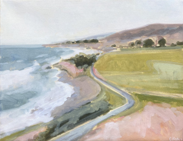 sonoma coast I