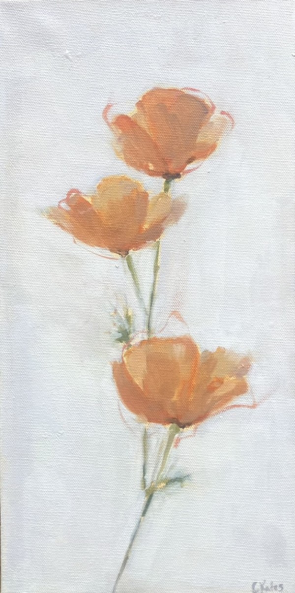 California poppies